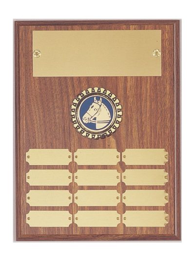 Walnut Finish 9x12 Perpetual Plaque with Mylar Holder - P2051