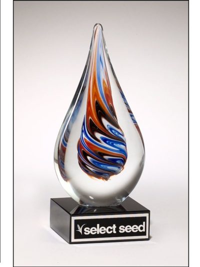 Teardrop Shaped Art Glass Award on Black Glass Base - 1625