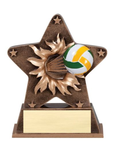 Starburst Volleyball Resin - RS25
