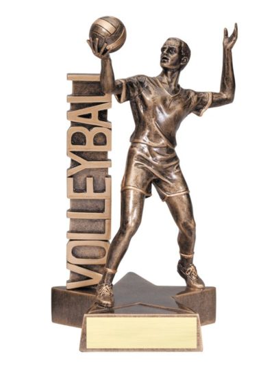 Billboard Series Volleyball Male Resin - RST225