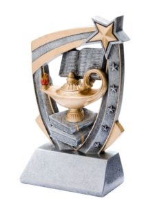 3D Star Knowledge Resin – RST561