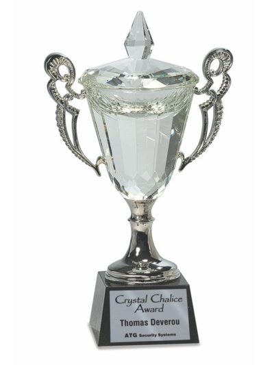 Crystal Premier Cup Trophy - CRY052