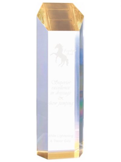Tower Acrylic Award - TWR32