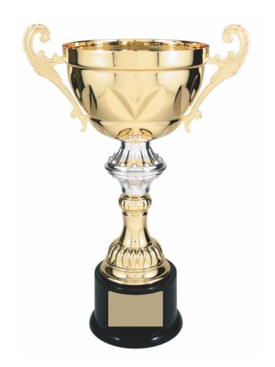 Metal Cup Trophy - CMC201