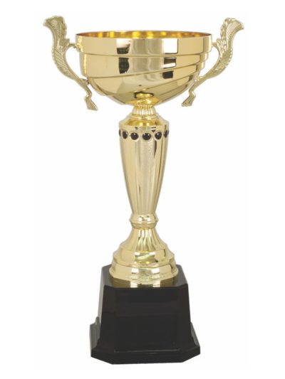 Metal Cup Trophy - CMC281