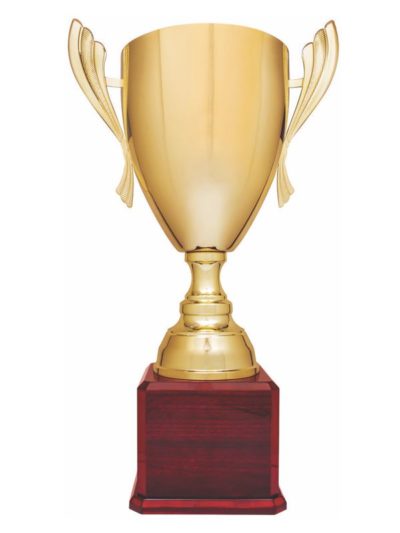 Metal Cup Trophy - CMC930