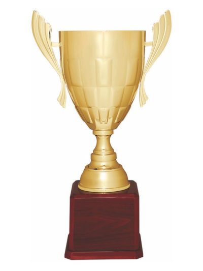 Metal Cup Trophy - CMC934