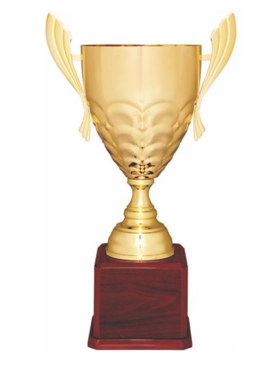 Metal Cup Trophy - CMC938