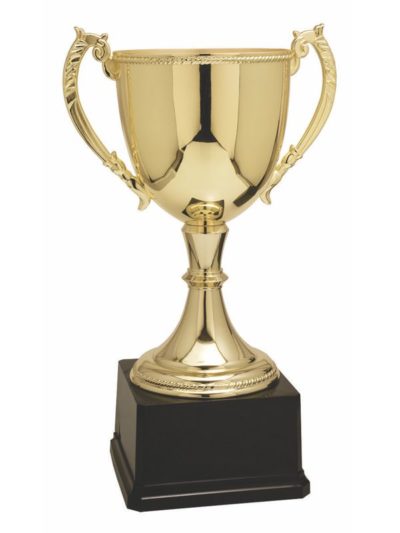 Zinc Metal Cup Trophy - CZC601