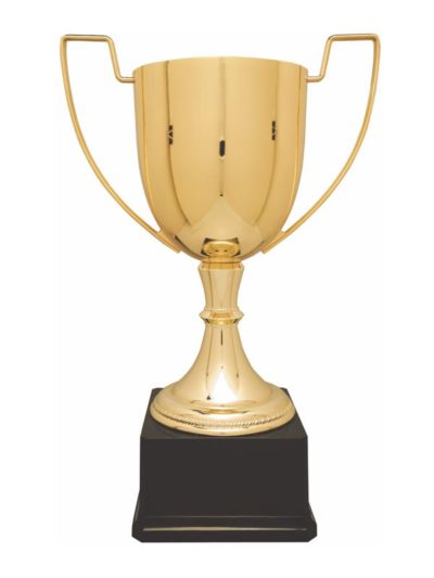 Zinc Metal Cup Trophy - CZC701