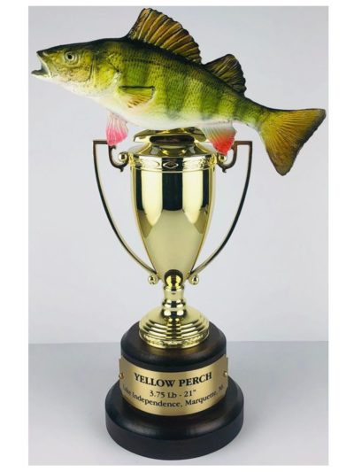 Fish Trophy - FishRB4