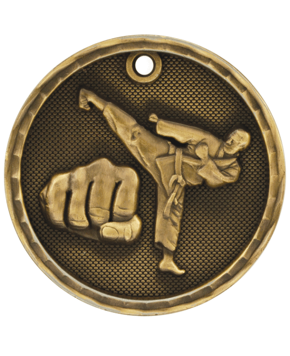 3D Martial Arts Medal-3D209