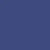 Blue GFT2039 – Silver Snaps