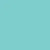Teal GFT2044 – Silver Snaps